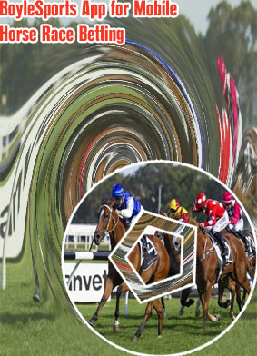 Boylesports horse racing betting